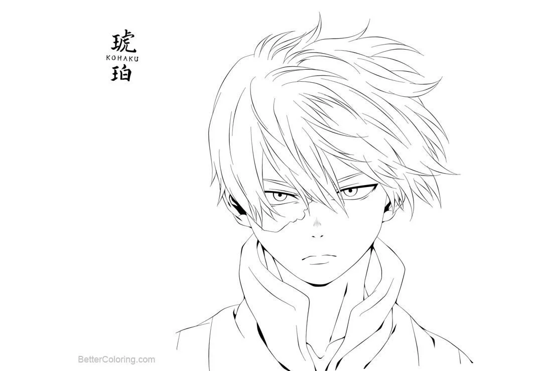 Todoroki Ausmalbilder 2