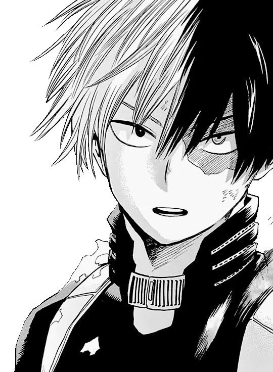 Todoroki Ausmalbilder 24