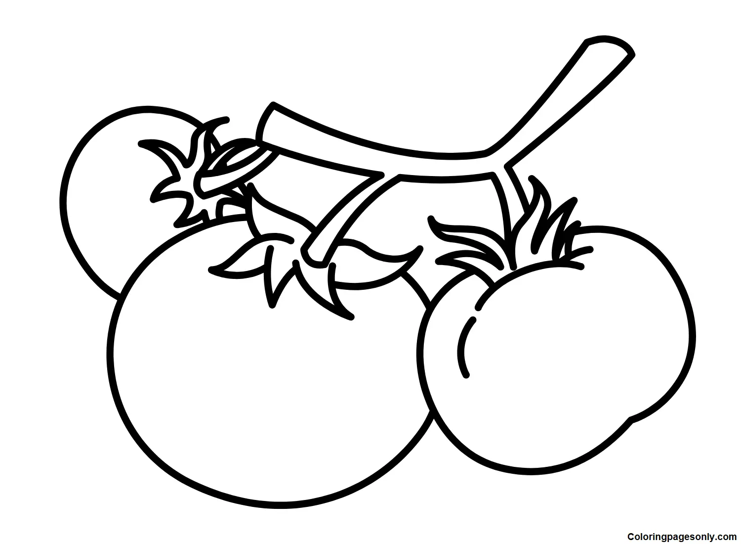 Desenhos de Tomate Para Colorir 19