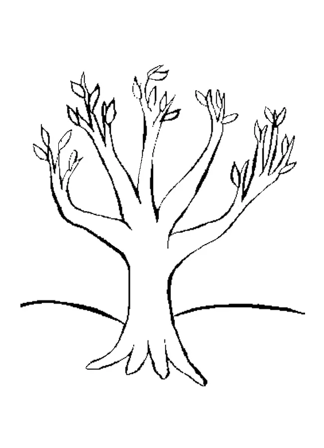 Tree Coloring Pages 7