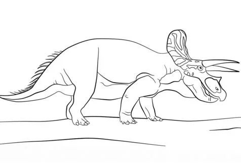 Triceratops Ausmalbilder 13
