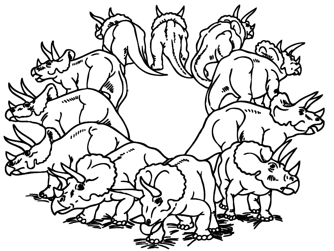 Triceratops Ausmalbilder 15