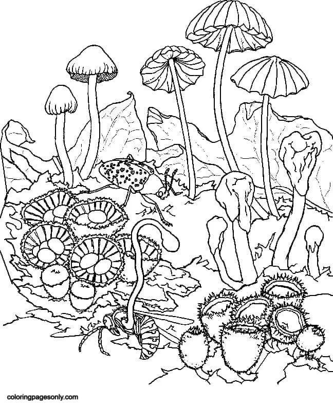 Trippy Coloring Pages 13