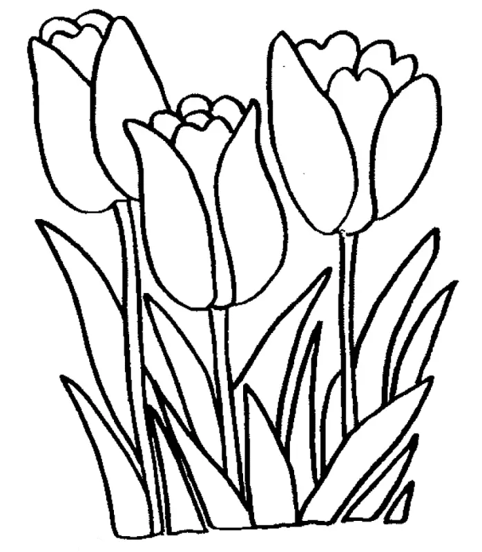 Tulpen Ausmalbilder 10
