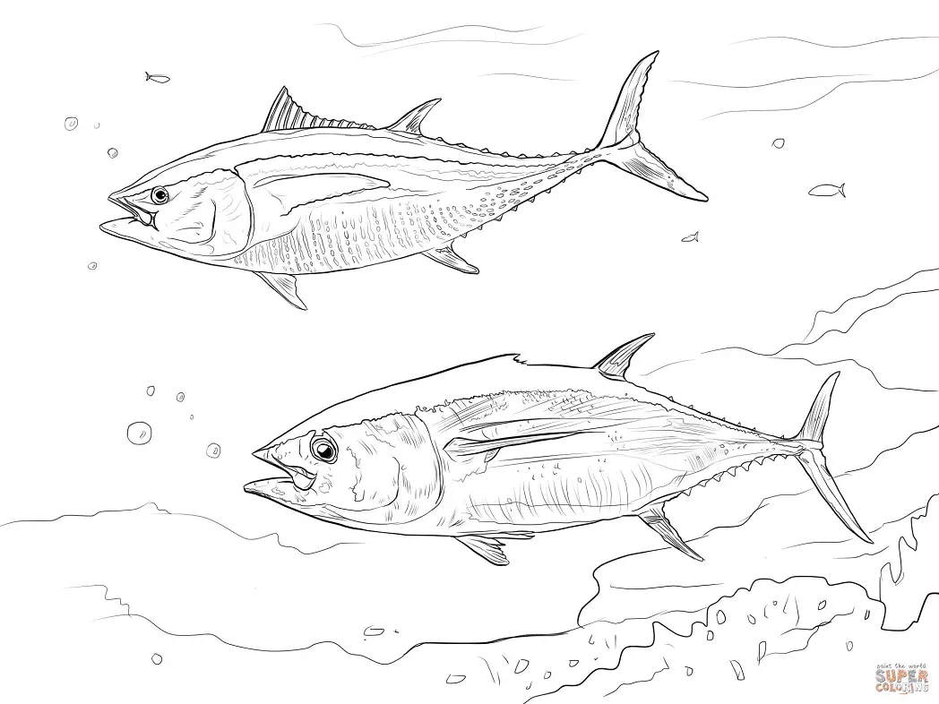 Thunfisch Ausmalbilder 12