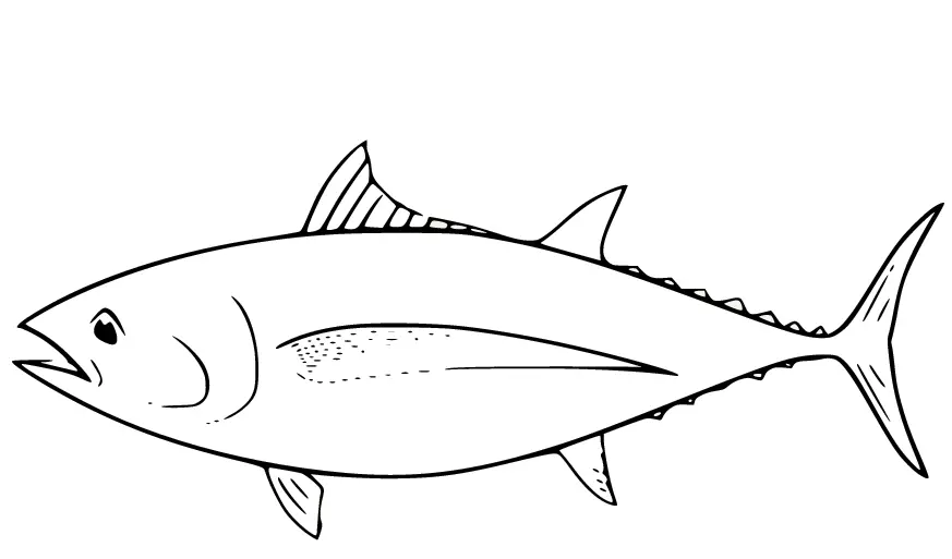 Thunfisch Ausmalbilder 19