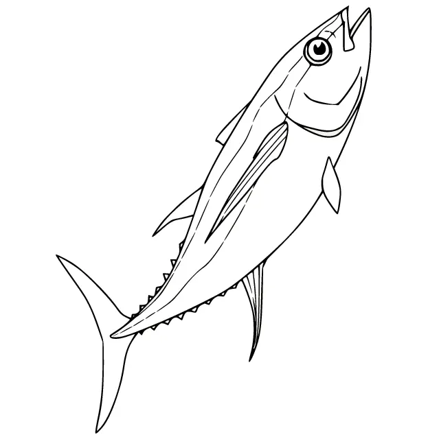 Thunfisch Ausmalbilder 24