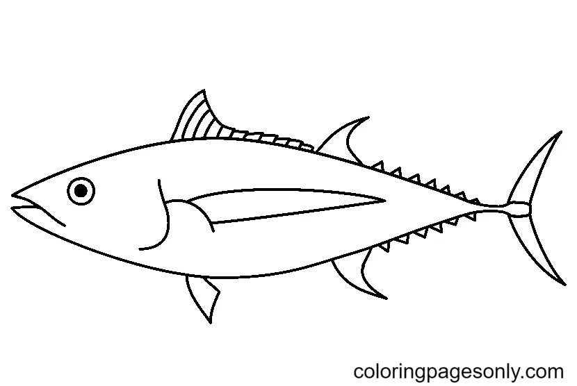 Thunfisch Ausmalbilder 25