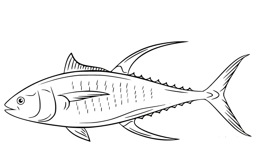 Thunfisch Ausmalbilder 3