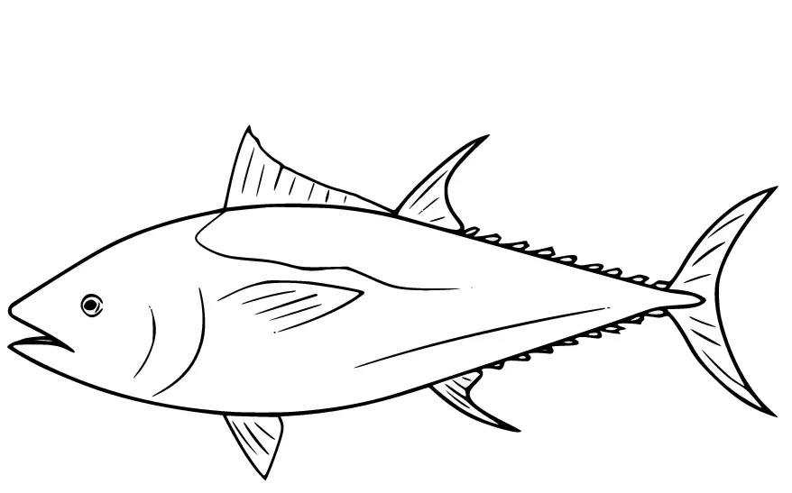 Thunfisch Ausmalbilder 7