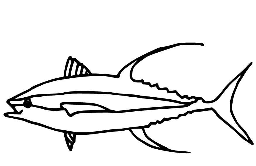 Thunfisch Ausmalbilder 9