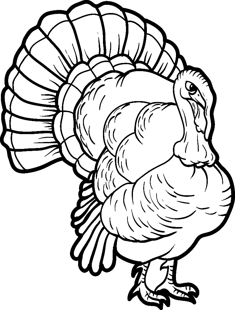 Turkey Coloring Pages 50
