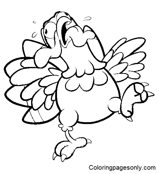 Turkey Coloring Pages 59