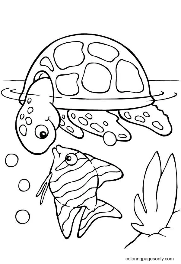 Tortugas Para Colorear 10