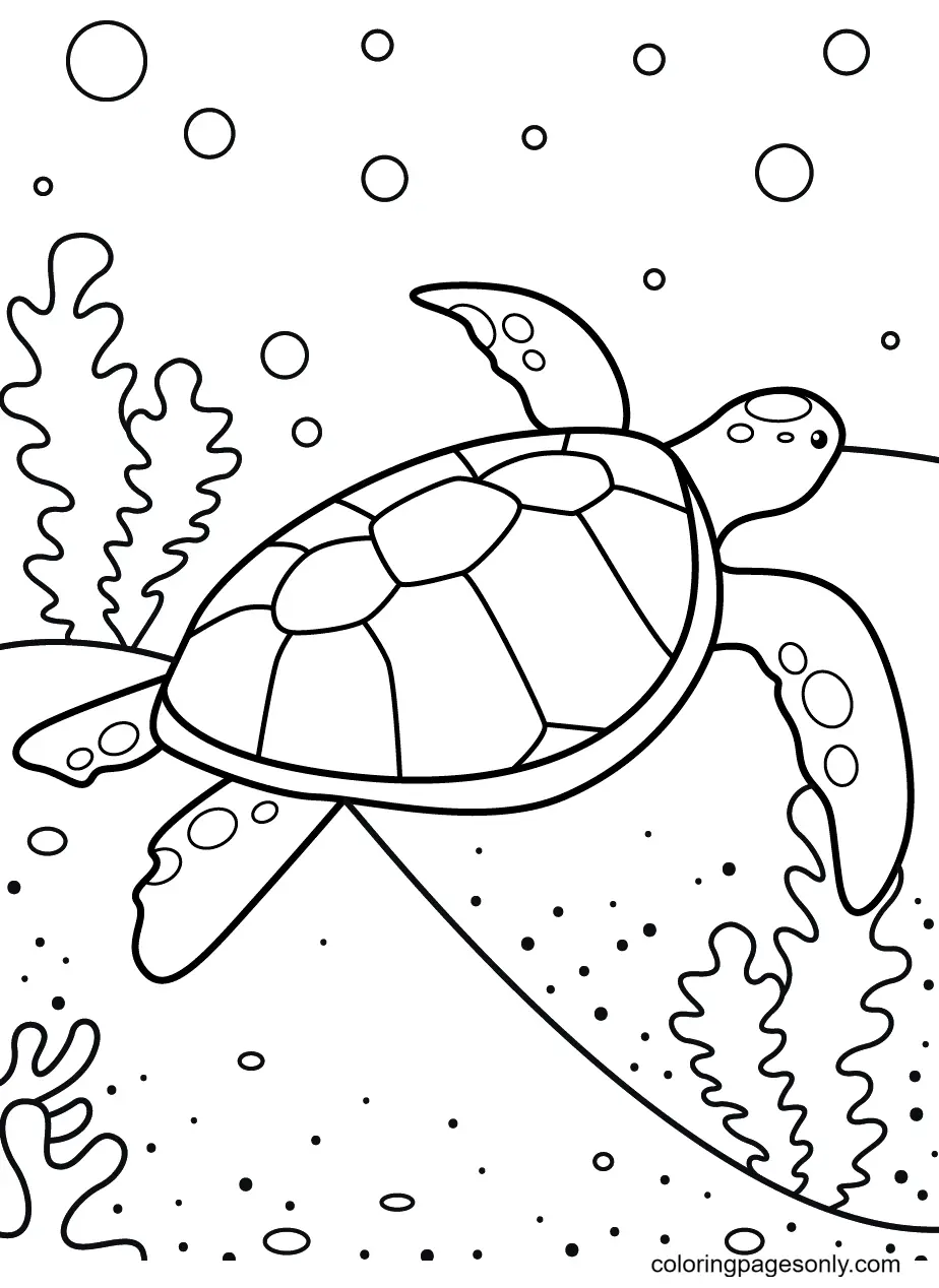 Tortugas Para Colorear 22