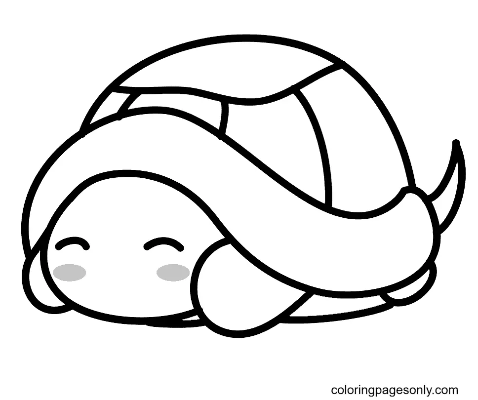 Tortugas Para Colorear 3
