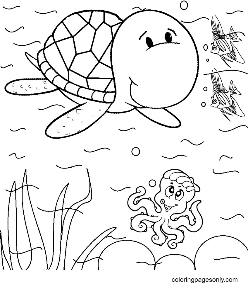 Tortugas Para Colorear 36