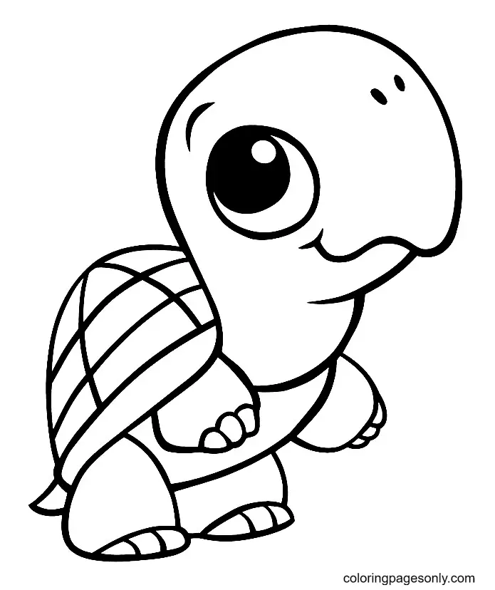 Tortugas Para Colorear 4
