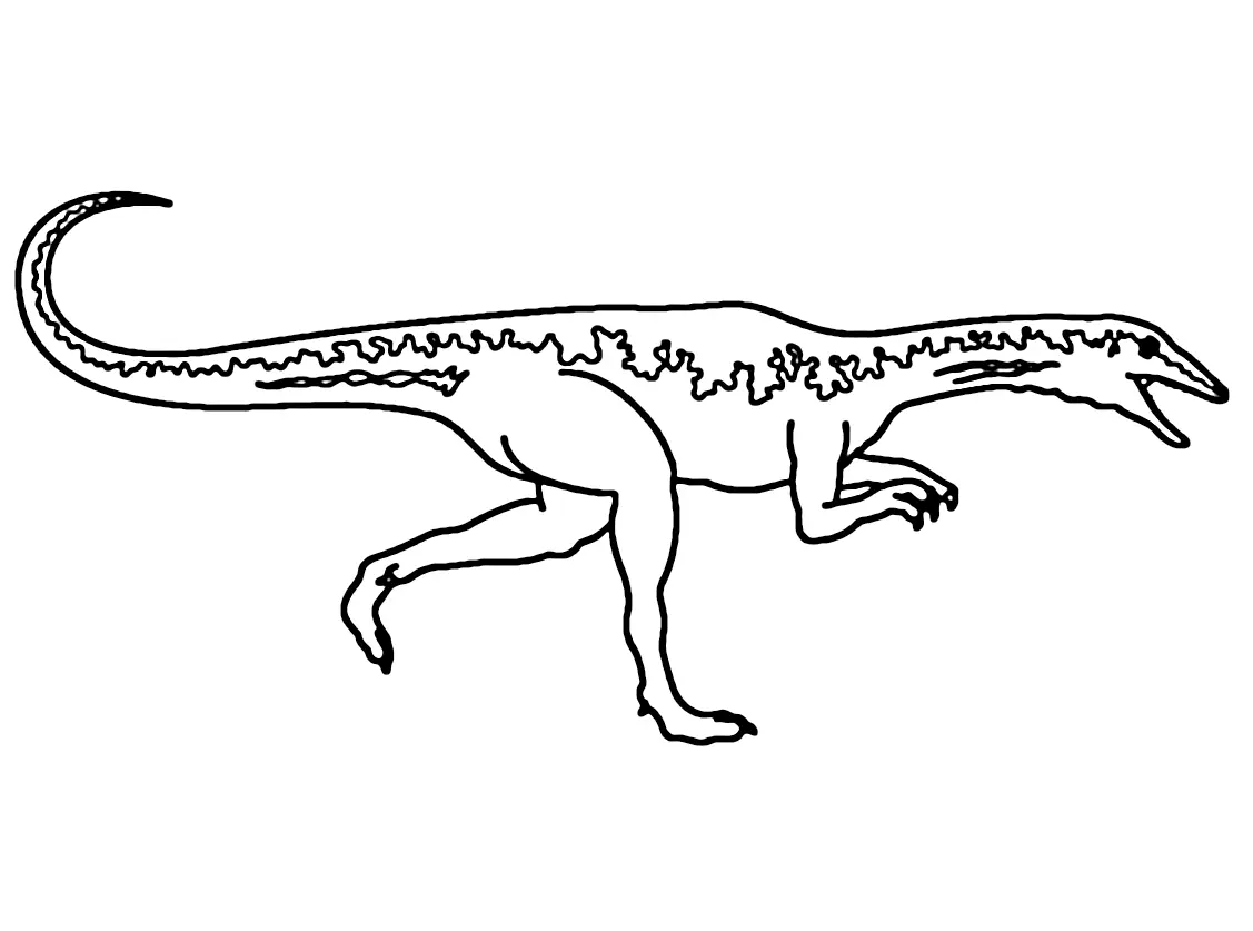 Velociraptor Ausmalbilder 13