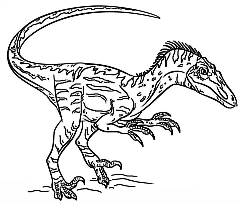 Velociraptor Ausmalbilder 4