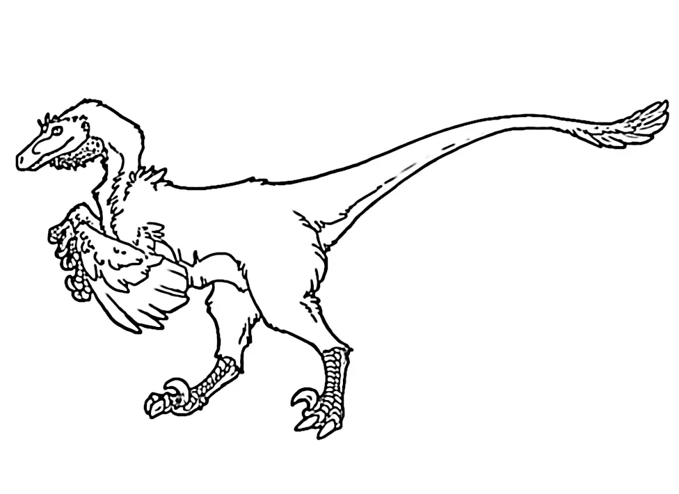 Velociraptor Ausmalbilder 6