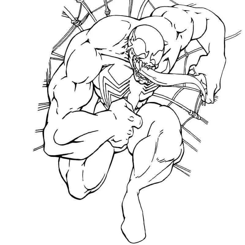 Desenhos de Venom Para Colorir 22