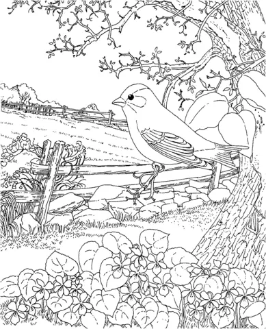 Violet Coloring Pages 10