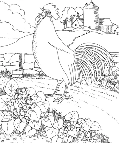 Violeta Para Colorear