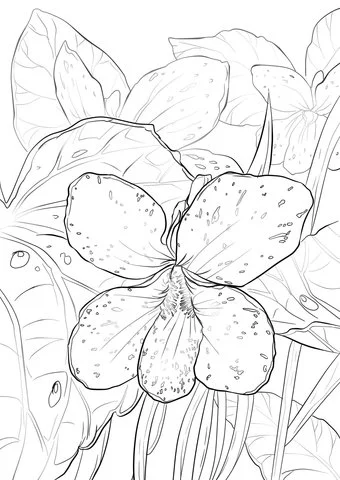 Violet Coloring Pages 6
