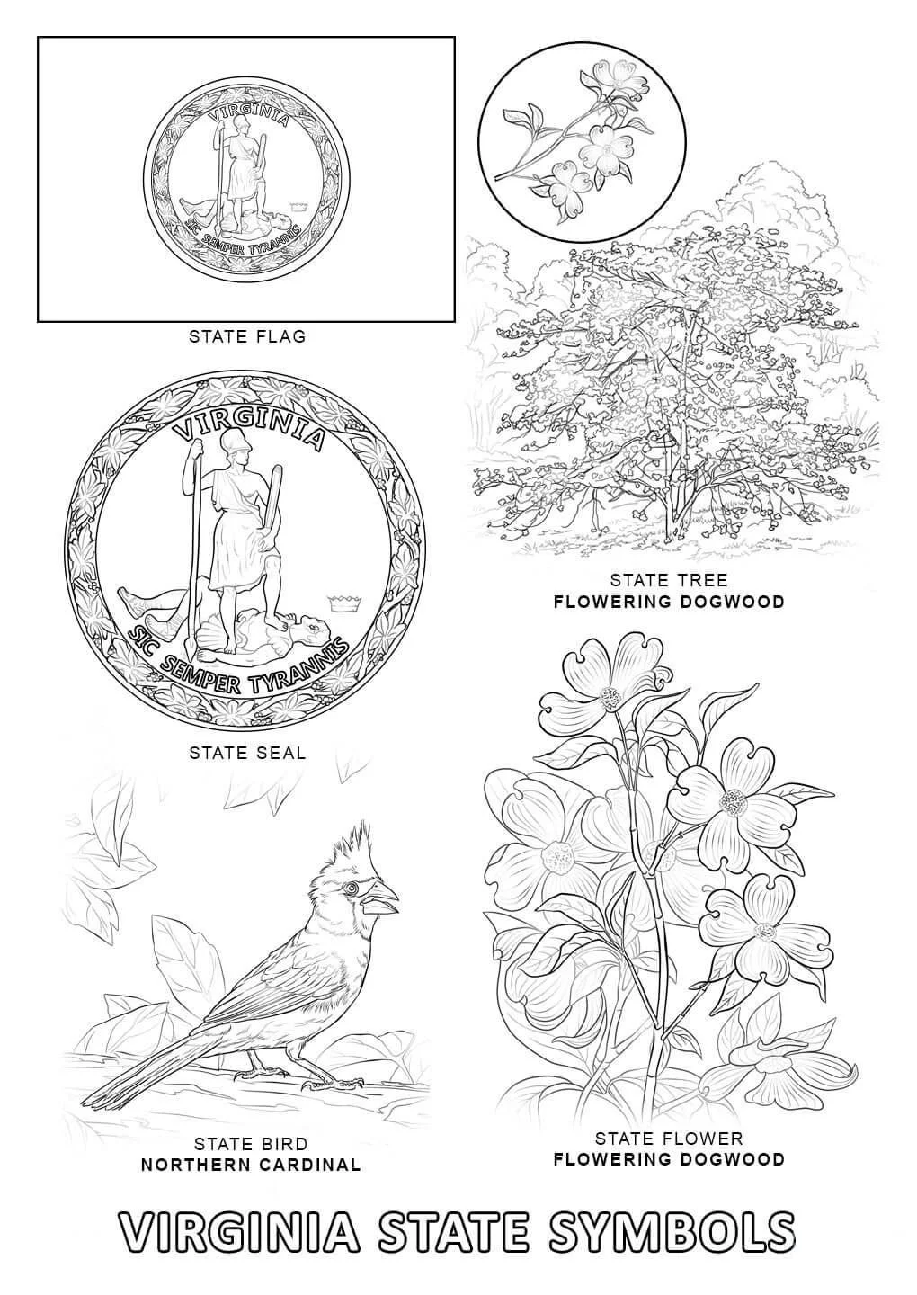 Virginia Coloring Pages 12