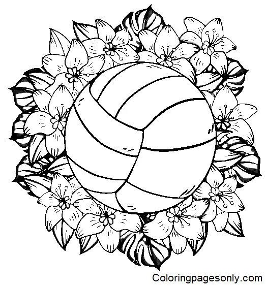 Volleyball Coloring Pages 4