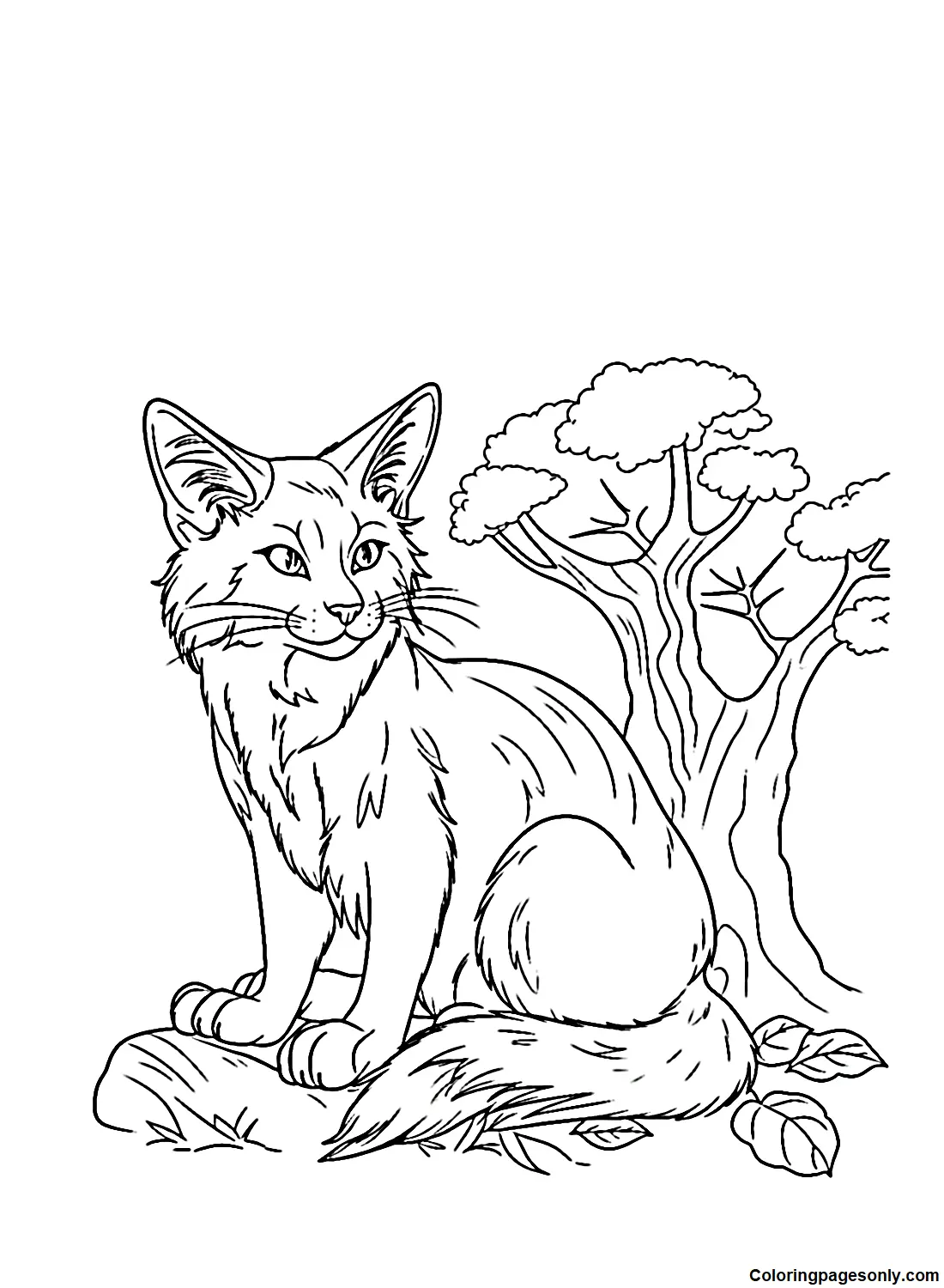 Warrior Cats Ausmalbilder 12