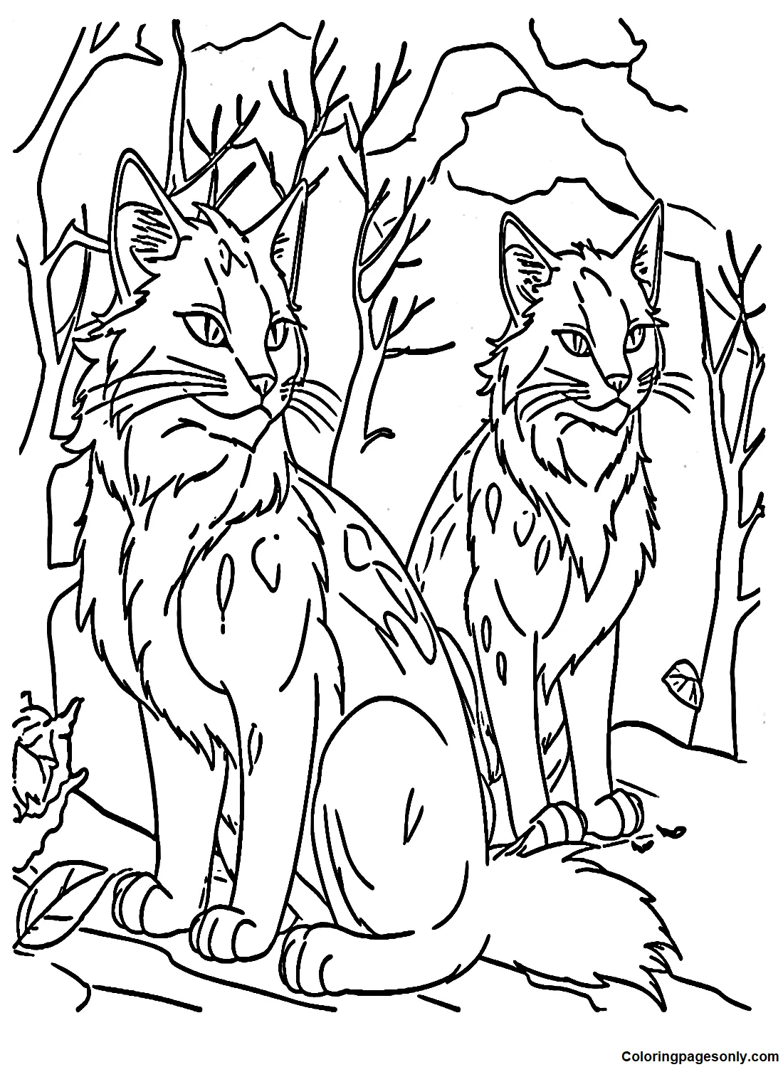 Warrior Cats Ausmalbilder 4