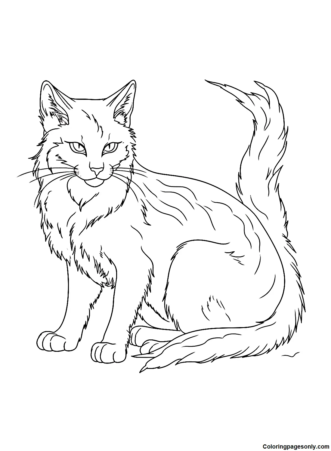 Warrior Cats Ausmalbilder 5