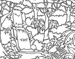 Cascadas Para Colorear 11