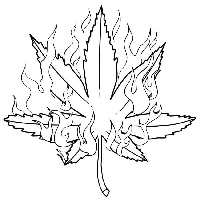 Maleza pginas para colorear 1