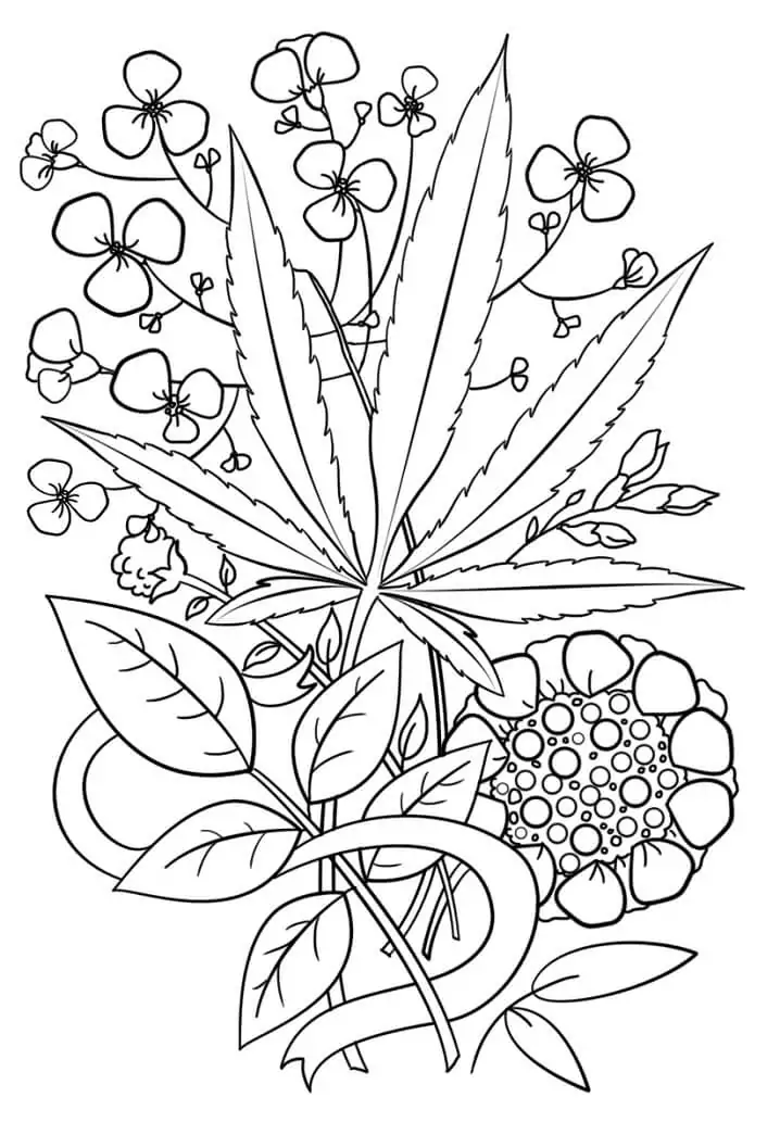 Maleza pginas para colorear 6