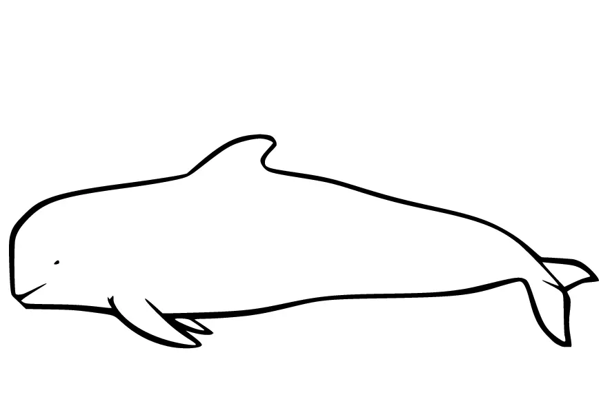 Desenhos de Baleias Para Colorir 21