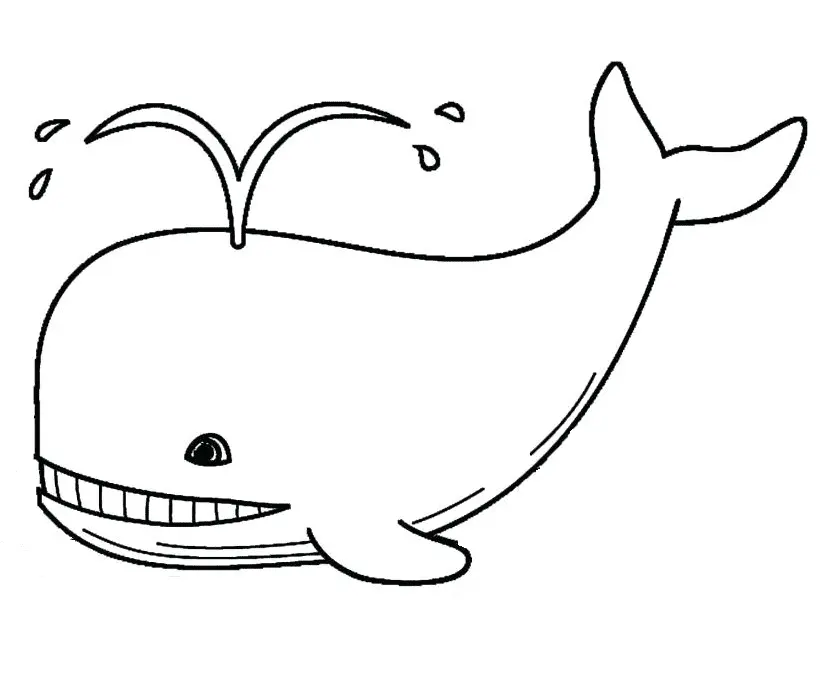 Desenhos de Baleias Para Colorir 28