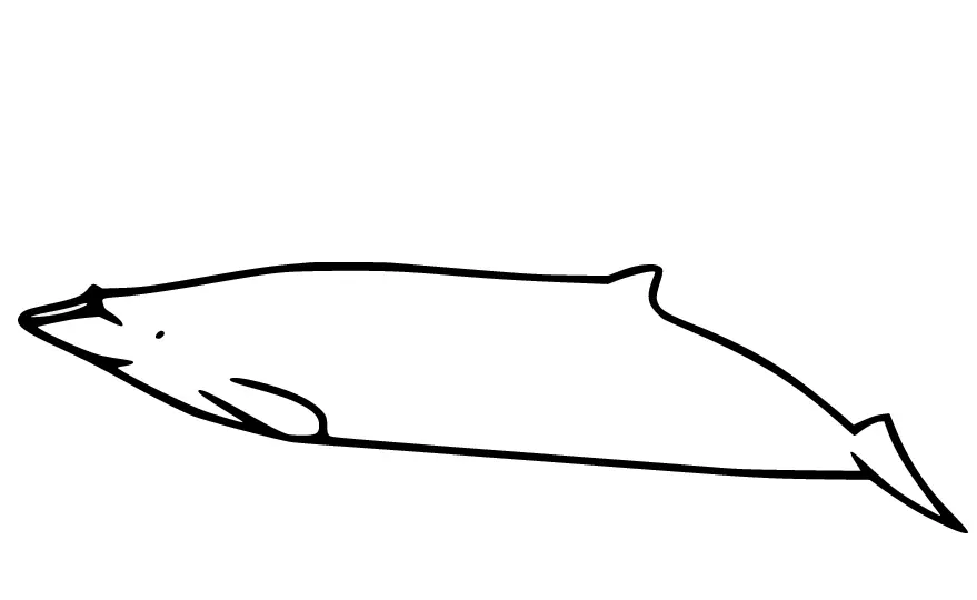 Desenhos de Baleias Para Colorir 37