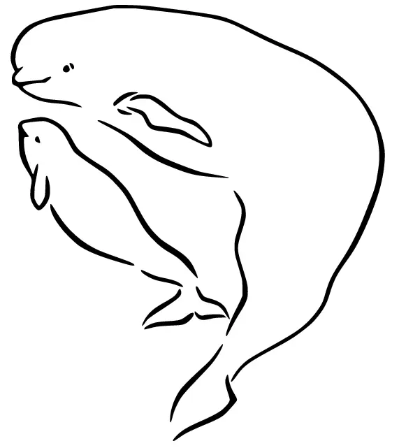 Desenhos de Baleias Para Colorir 39