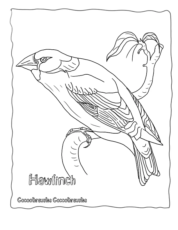 Vida Salvaje Para Colorear 23