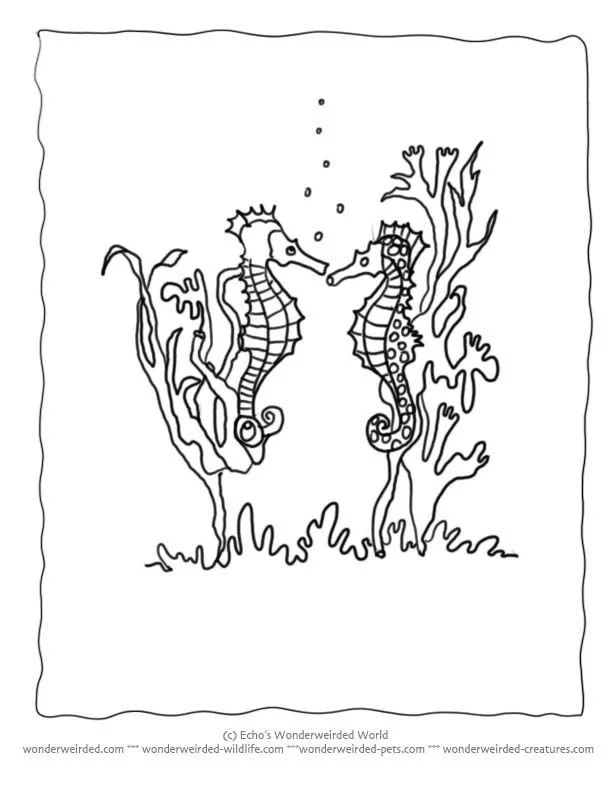 Vida Salvaje Para Colorear 4