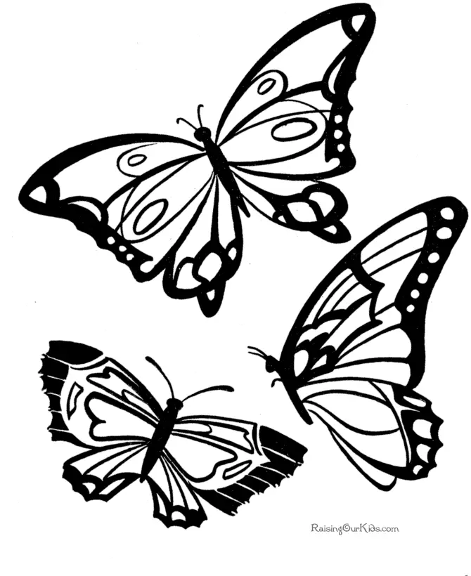 Vida Salvaje Para Colorear 41