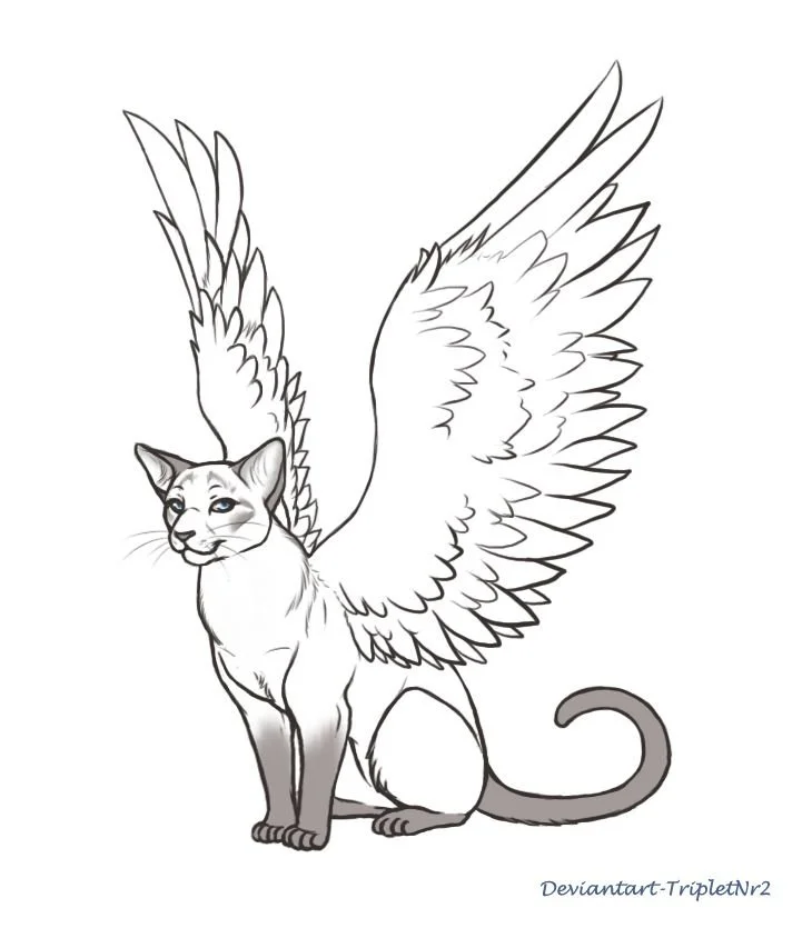 Winged Cat Coloring Pages 6