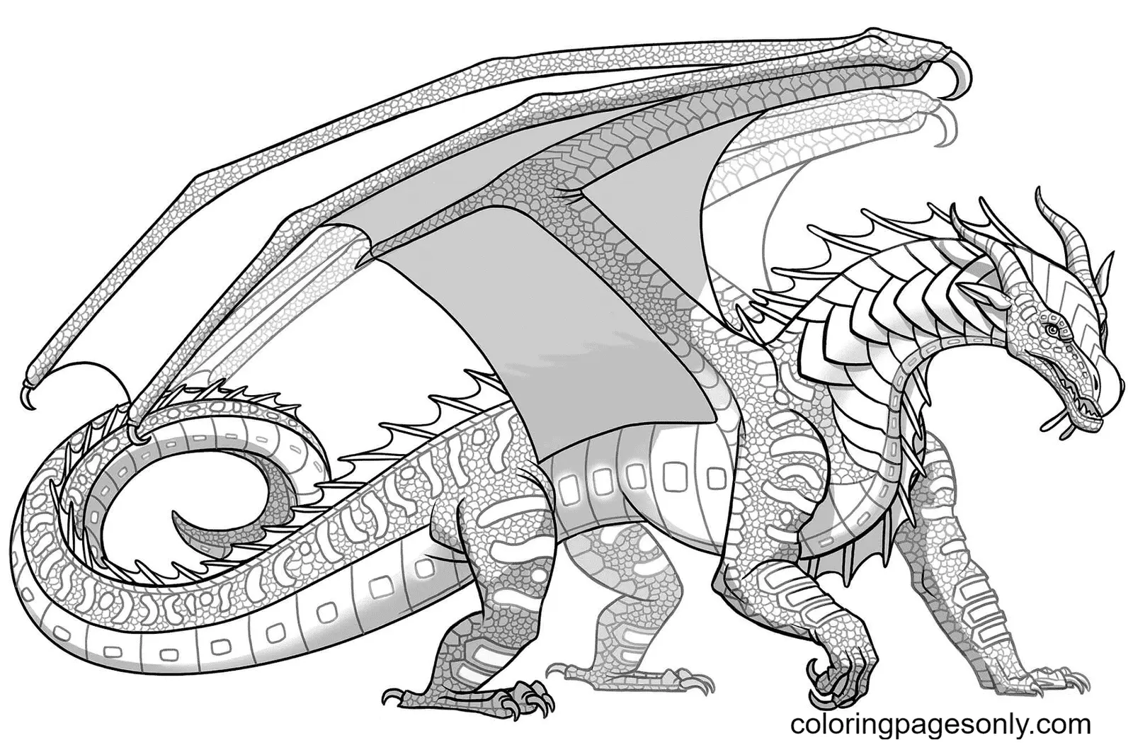 Desenhos de Asas de Fogo Para Colorir 17