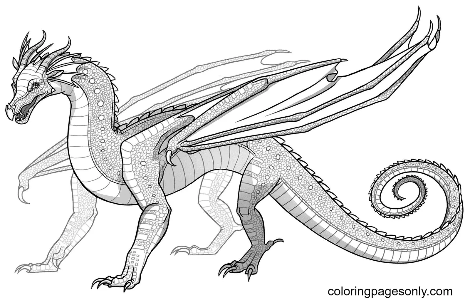 Desenhos de Asas de Fogo Para Colorir 28