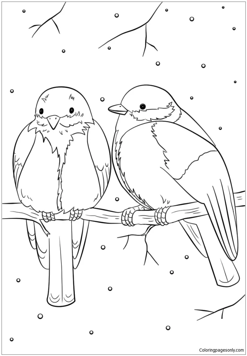 Desenhos de Esporte de Inverno Para Colorir 44