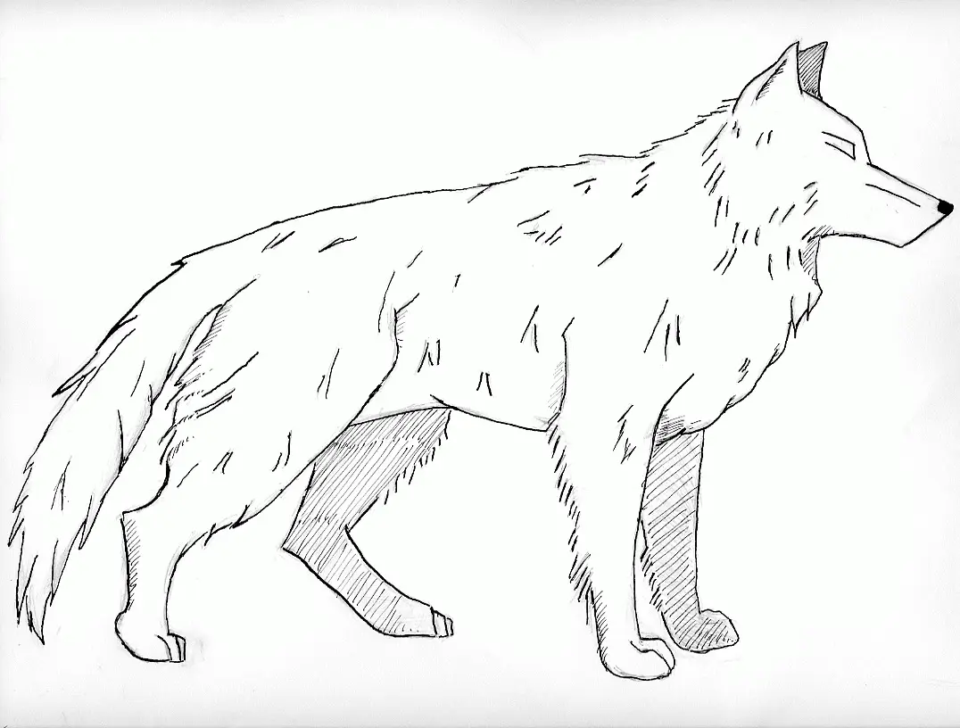 Wolf Ausmalbilder 1