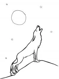 Wolf Ausmalbilder 122